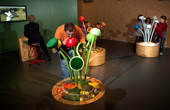 Expo permanente maison du Parc Expo permanente maison du Parc