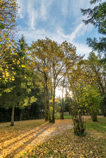 Camping de la foret Levier Automne 