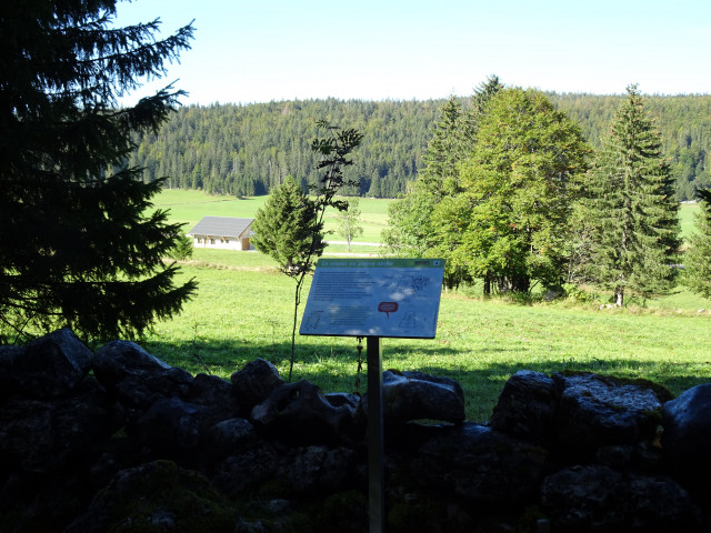 sentier combe des cives