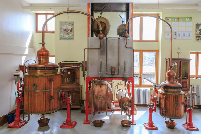 Excel Dbs Ed Signe Pernot WT-3584-min