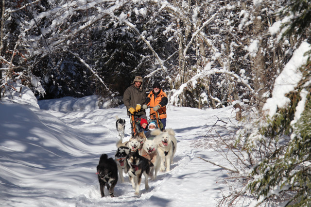baptême en traîneau