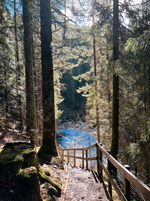 Sentier Source du Doubs
