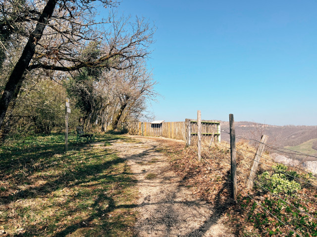 Belvédère de Renédale