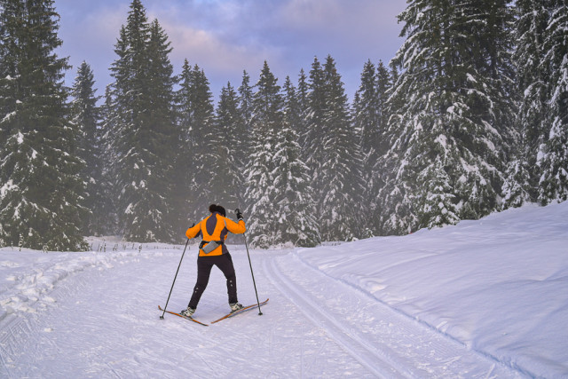 J.Carrot - ENJ 2026 (10)