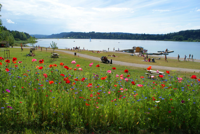 Malbuisson plage lac saint point ©CVMA (3)