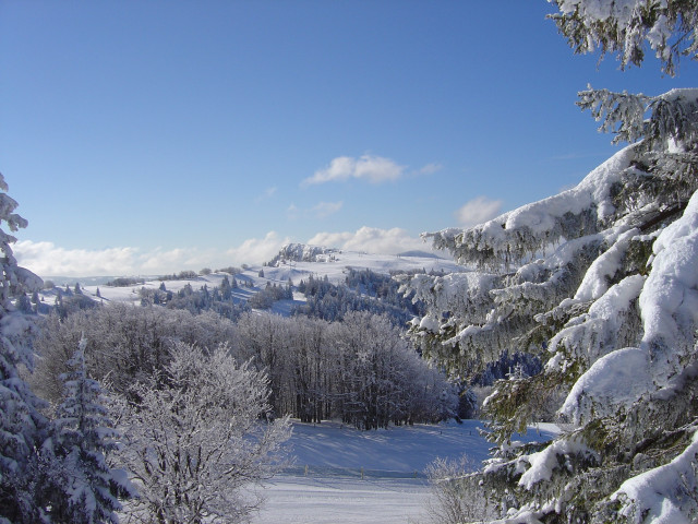 Vue sur le Mont d'Or