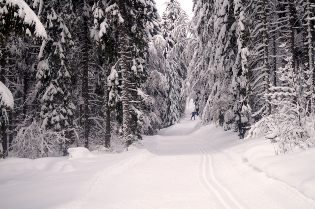 Ski de fond dans le Val de Mouthe