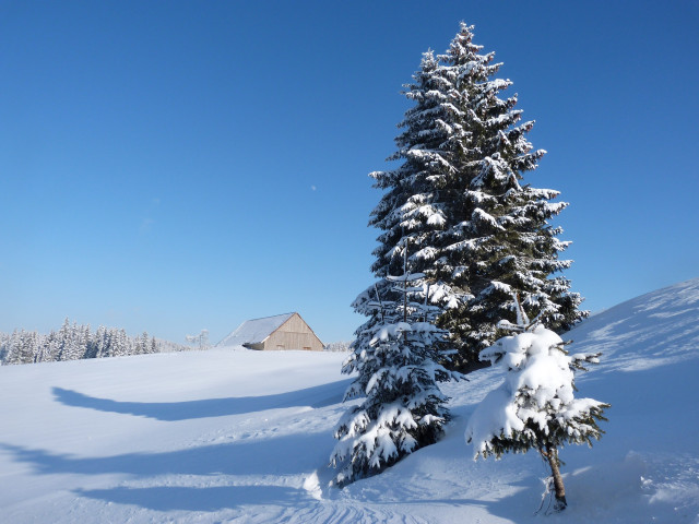 Ferme de la Cernée dans le Val de Mouthe