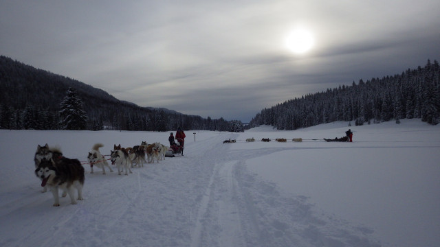 baptême en traîneau