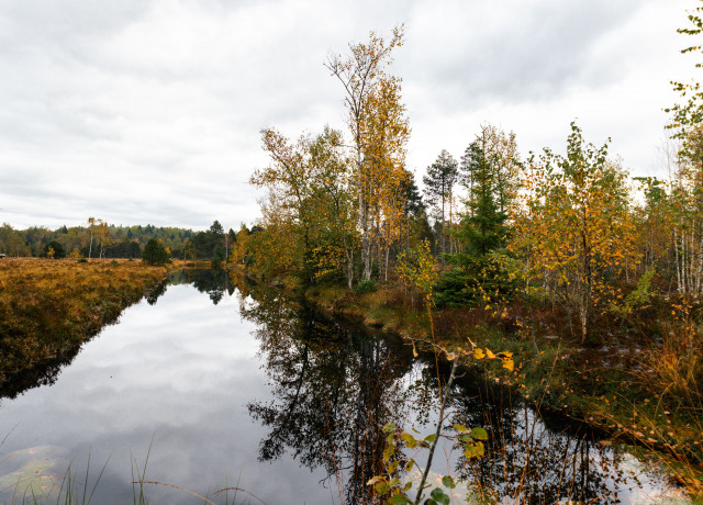 RNR Tourbières Frasne Bouverans  © Céline Gucihard (6)