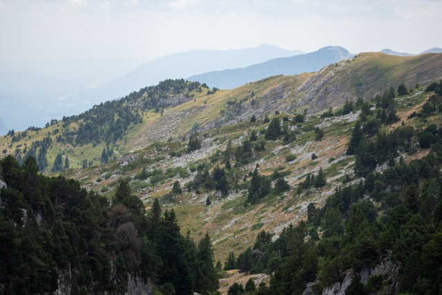 Réserve Naturelle Nationale de la Haute Chaîne du Jura