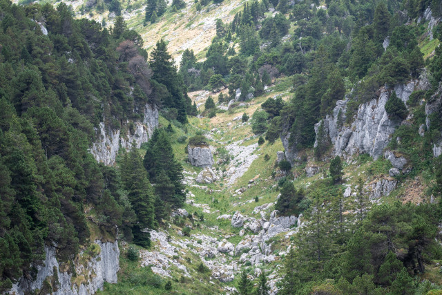 Réserve Naturelle Nationale de la Haute Chaîne du Jura