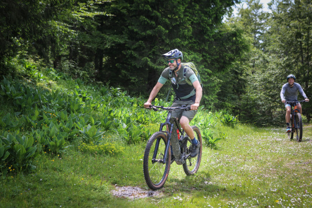 VTT électrique