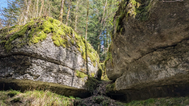 WhatsApp Image 2025-04-16 à 11.55.56_d0b73e08