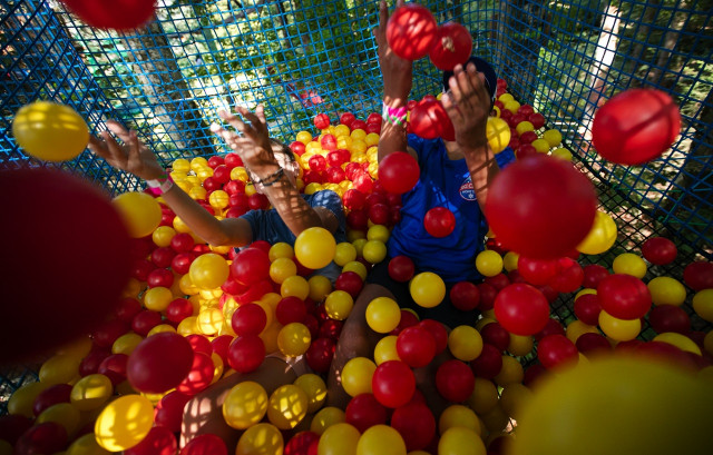 bois chats gris métabief aventures été ©Sophie Cousin 2