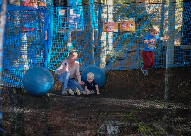 bois des chats gris enfants ©JulesPourchet 2