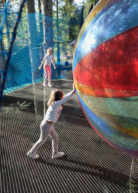 bois des chats gris enfants ©JulesPourchet 3