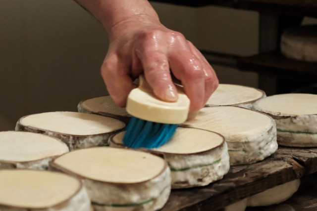 Fabrication du fromage Mont d'Or