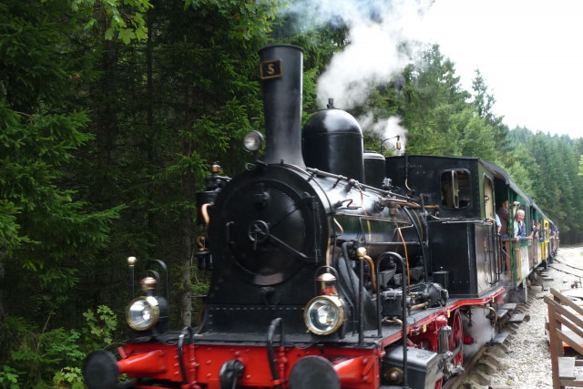 haut-doubs-promenade-train-conifer-locomotive-maud-humbert-12590