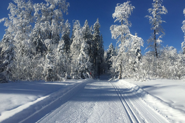 haut-doubs-ski-nordique-larmont-pontarlier-pistes-laithier-william-16105