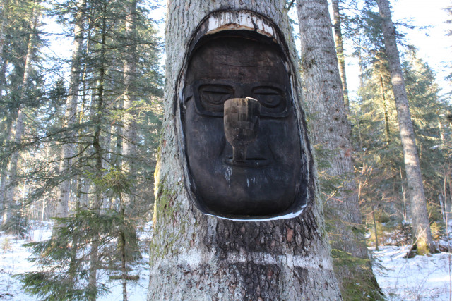 Sapin Président aux Fourgs