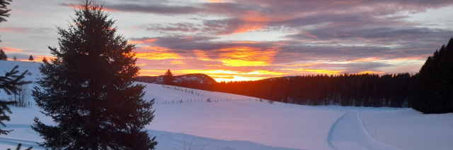 Paysage enneigé coucher du soleil