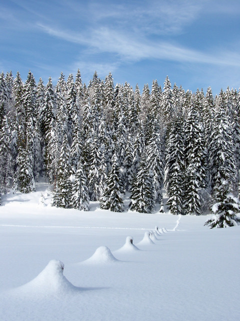 paysages montagnes du jura_Jack Carrot (3)