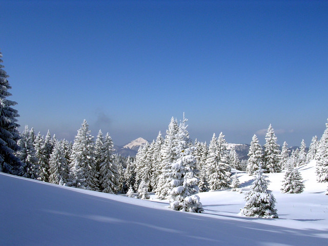 paysages montagnes du jura_Jack Carrot (5)