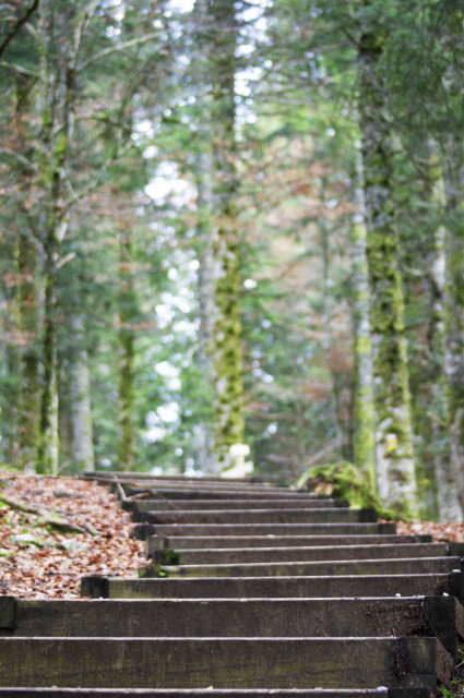 rando de la source 1