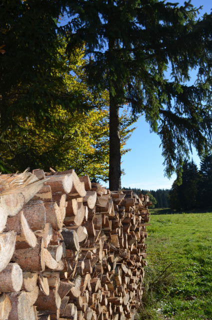 randonnée La Roche Sarrasine Pile de bois © HUMBERT Maud_2