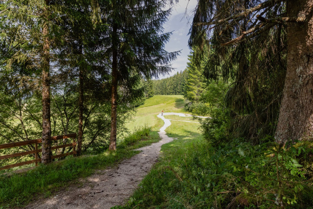 Single track de Mouthe