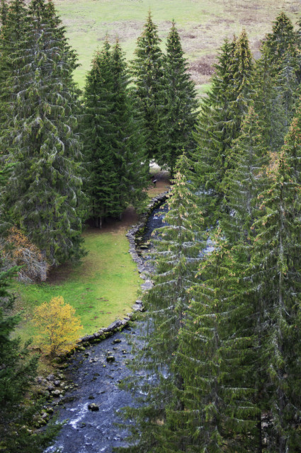 vue depuis le bélvédère de la source du doubs