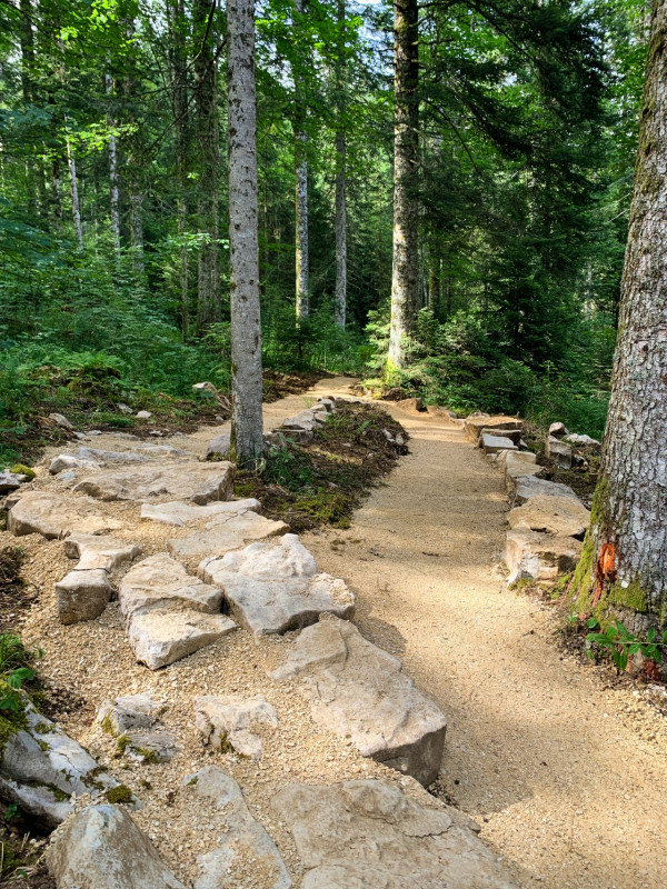 364688254_769190821878068_6653147325510292886_n