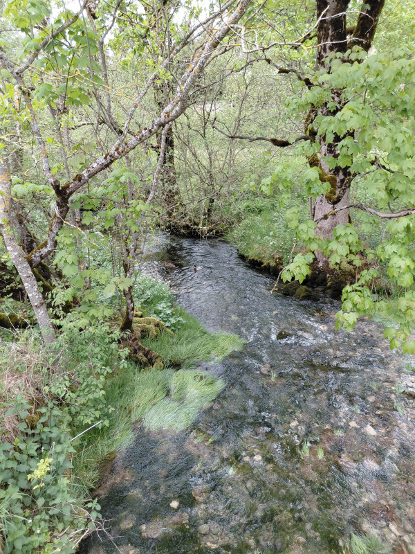 Au fil du Bief Rouge_OTPHD (5)