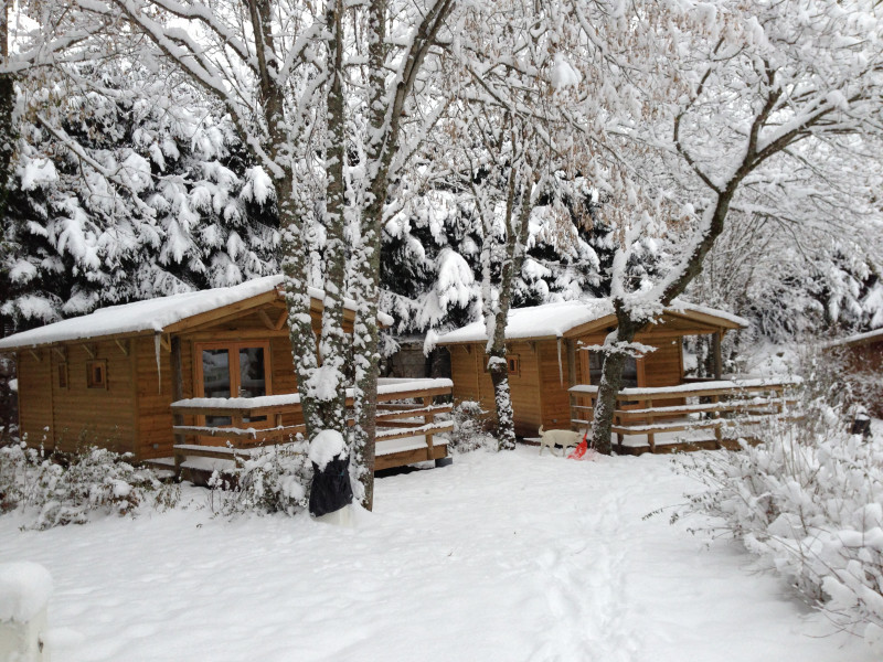 Camping de la foret 6