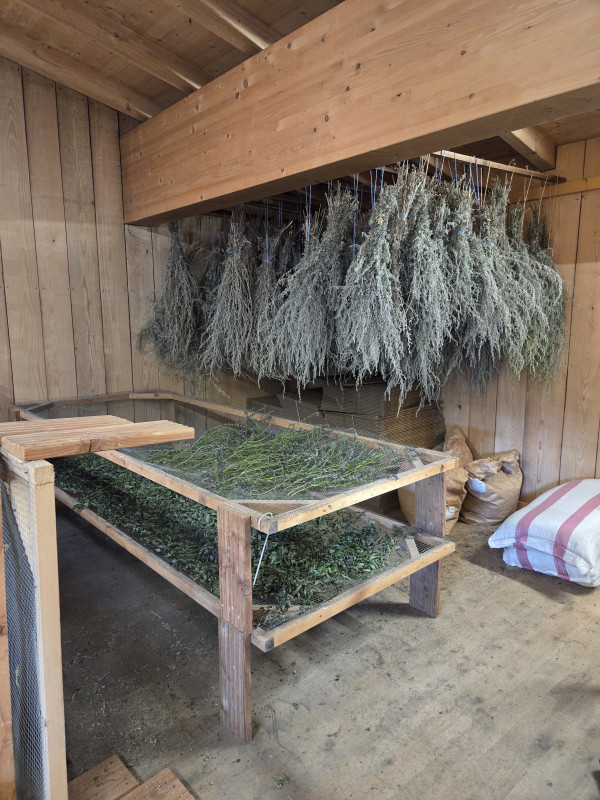 Distillerie_Marguet_Champreux (2)