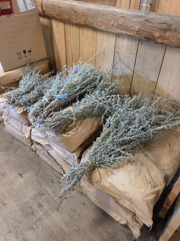 Distillerie_Marguet_Champreux (3)