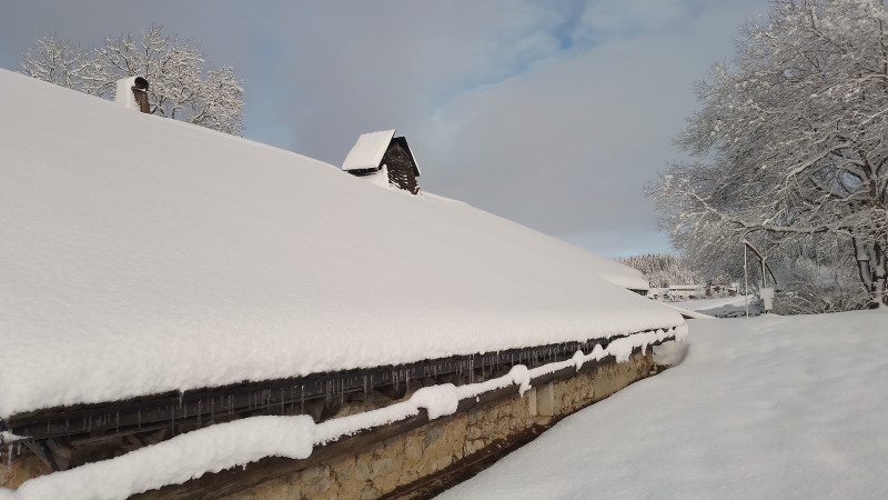 Ecomusée et combe des cives_janv 2026 (4)