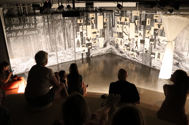 Immersion sonore - salle de projection