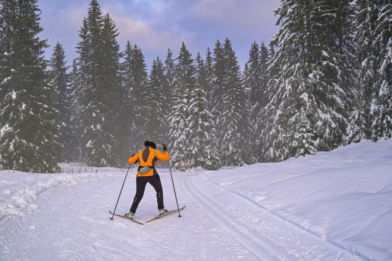 J.Carrot - ENJ 2026 (10) J.Carrot - ENJ 2026 (10)