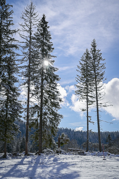 J.Carrot - ENJ 2026 (7) J.Carrot - ENJ 2026 (7)