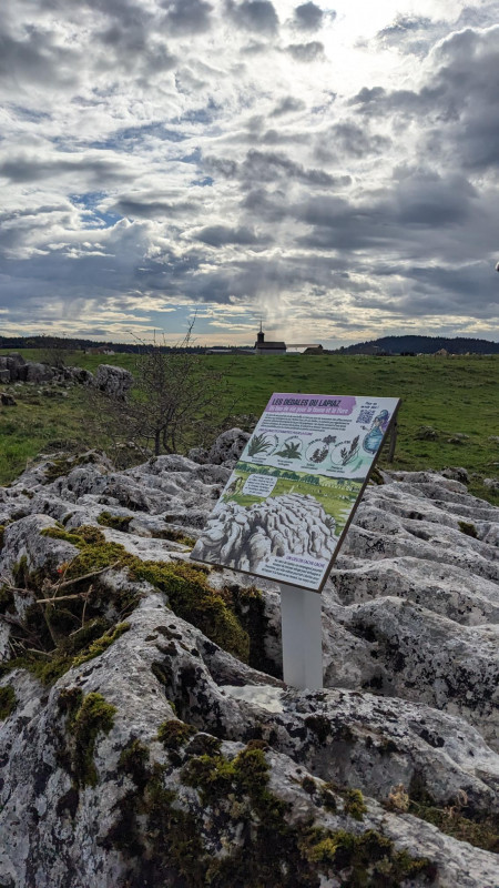 Lapiaz Courvières©CFD
