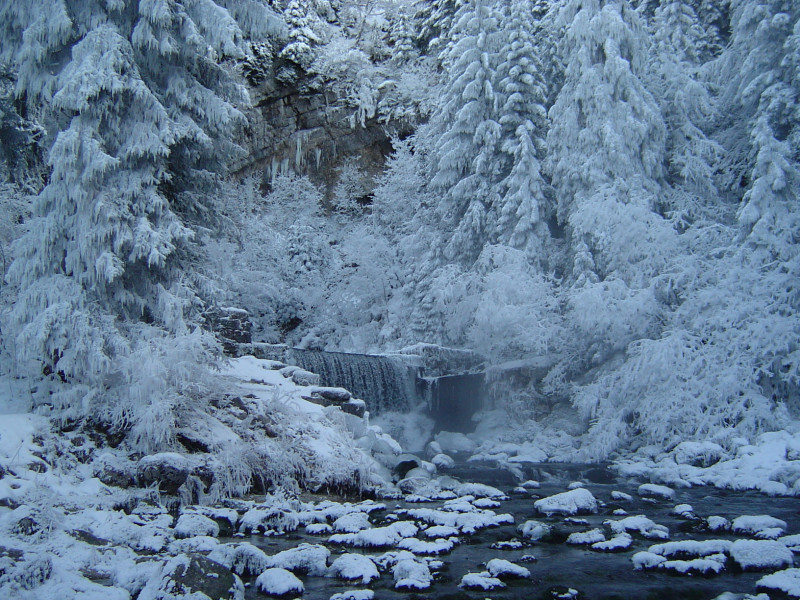 Source du Doubs en hiver 