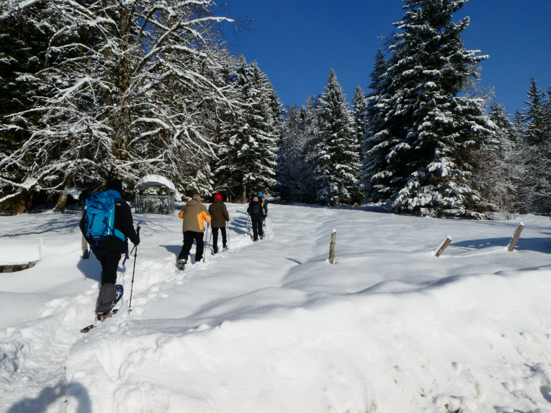 HORIZONS JURA, BUREAU DES ACCOMPAGNATEURS EN MONTAGNE DU HAUT-DOUBS_4