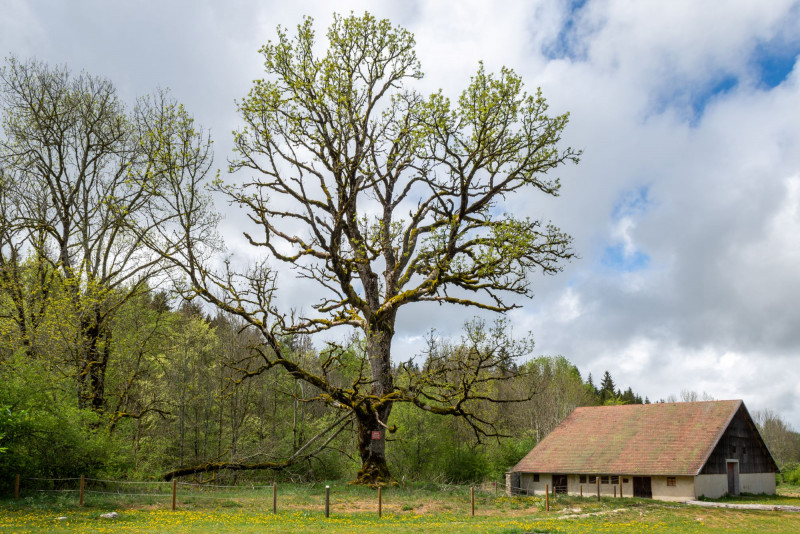 Ferme_Cessay-Laurent Lepeule_1