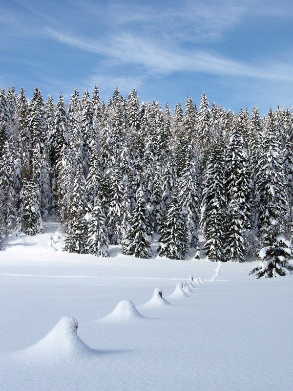 paysages montagnes du jura_Jack Carrot (3)