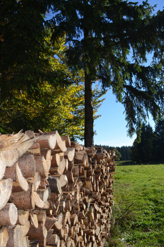 randonnée La Roche Sarrasine Pile de bois © HUMBERT Maud_2
