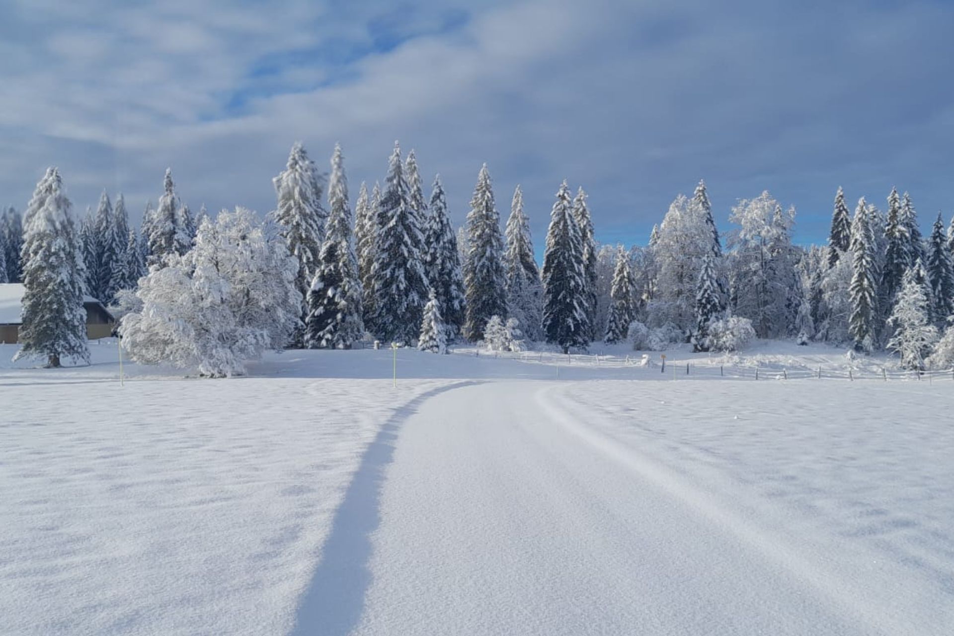 neige-nicolas-ardiet-126464 - &copy; Nicolas Ardiet