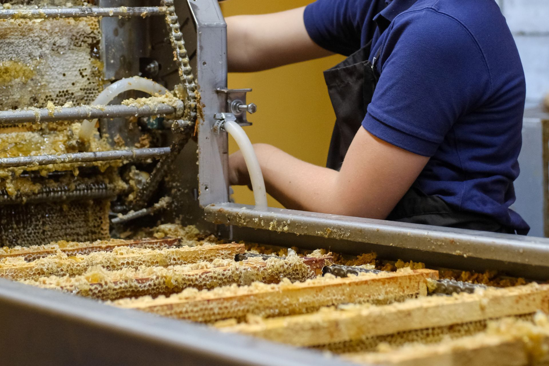 production-rucher-cheni-films-114922 - &copy; Cheni Films