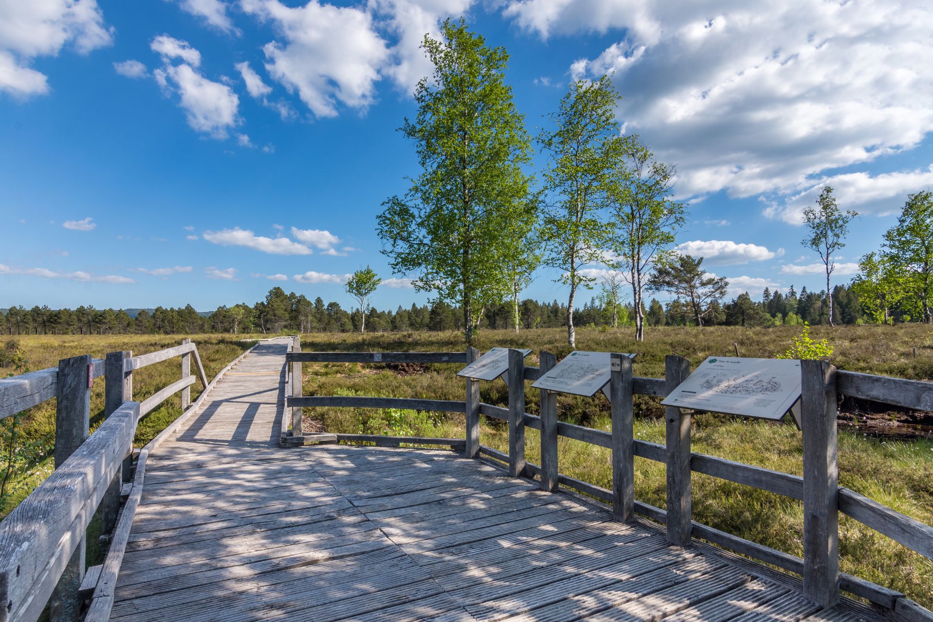 Réouverture de la Réserve Naturelle Régionale Tourbières de Frasne-Bouverans - &copy; CCFD